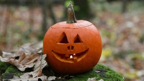 Slow motion video. Orange Halloween pumpkin with carved spooky face with burning candle inside of it stands in autumn forest by fallen leaves. Selective focus. Halloween theme.