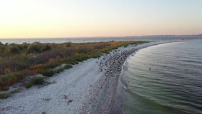 Aerial video flying over ducks birds on Kinburn spit in summer time. Coast of Black sea on Kinburn peninsula, Ukraine. 4k UHD drone footage