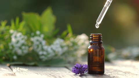 Drop of rosemary essential oil falls from a pipette into a cosmetic bottle, macro. Herbal essence dropping to dark glass on natural background