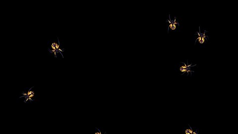 13 Yellow Spiders - Fast Transition -  Alpha Channel - 4K