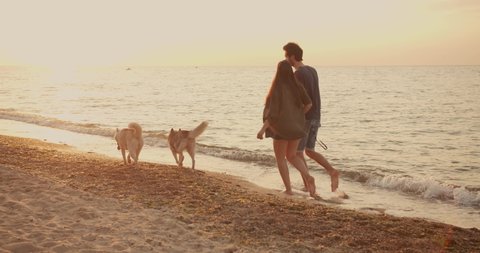 young caucasian couple walking on beach with siberian husky dogs during beautiful sunset or sunrise. Playing with dogs. Pets are the members of family concept	