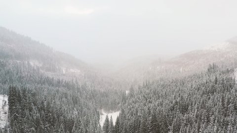 aerial 4k shot of beautiful winter mountain landscape. Drone moving above the snow capped pine forest in dark and moody weather. Cold winter concept