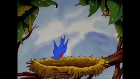 CIRCA 1941 - In this animated film, an owl lives in a tree trunk and birds build a nest home.