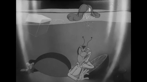 CIRCA 1942 - In this animated film, a black widow spider uses a lighter to attract a moth she loves, angering his bee fiance.