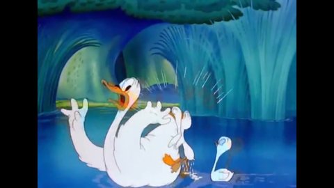 CIRCA 1943 - In this animated film, Elmer Fudd introduces a Blue Danube segment where a black duckling tries to swim with white swans.