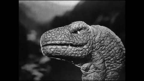 CIRCA 1925 - In this silent adventure movie, explorers watch a Tyrannosaurus Rex fight a brontosaurus off a cliff.