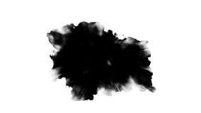 Black inks drops on white background - Powered by Shutterstock - Get 15% off with code: PIKWIZARD15