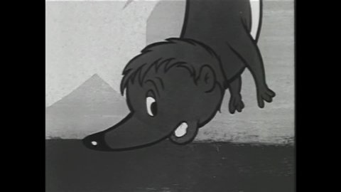 CIRCA 1959 - In this animated film, a possum ignores his father's warnings about hound dogs and ends up getting caught by one.