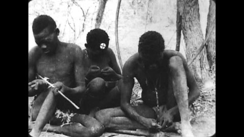 CIRCA 1930, - Kalahari Bushmen in 1930 make arrows out of wood and bone, using toxin from snake venom and plant roots.