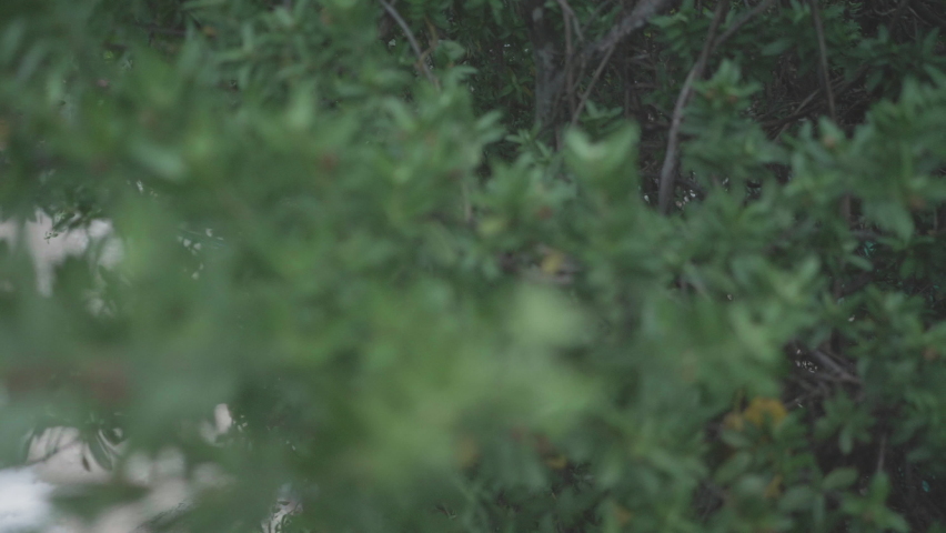 Slow motion Asian short hair woman say hello on beach blue sea summer on cloudy sky. Relax happy female wear white dress travel after quarantine coronavirus with new normal social distancing