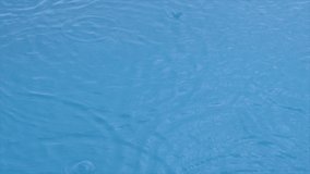 Raindrops fall on surface of pool, forming circles and bubbles. Abstract background footage. Concept of relaxation, tranquility, end of tourist season, rainy seasons. Full HD.
