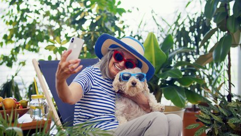 Senior woman with dog relaxing and taking selfie indoors at home, lockdown concept.