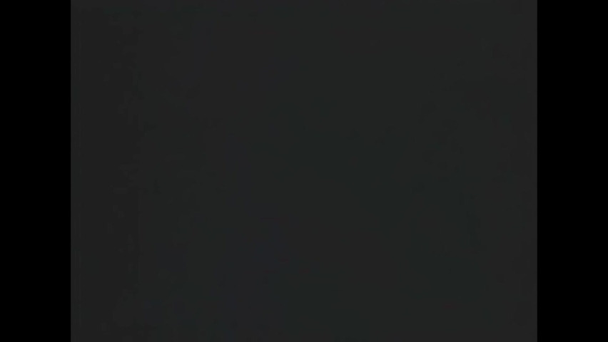 CIRCA 1944 - Japanese-American soldiers of the 442nd Infantry Regiment undergo basic training.