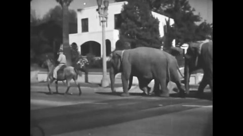 CIRCA 1940s - Cole Bros Circus elephants, ponies, show horses and other animals are unloaded from boxcars and paraded down a street, in 1947.