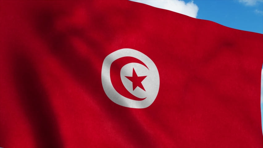 Tunisian Flag Footage 