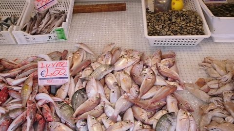 Fresh seafood, shellfish and fish in Ortygia Market, Syracuse, Sicily, Italy. Camera panning across the market stalls with fish. Slow motion steadicam shot