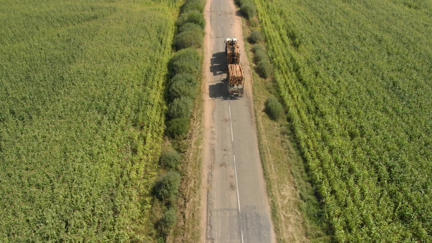 Aerial: a logging truck transports logs on a trailer on a country road on a spring day. Transportation of commercial wood to the factory