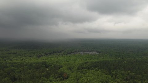 Aerial View of Cloudy Sky Above Thick Rainforest. Spooky Scenery and Wet Weather Above Caddo Lake State Park, Texas USA