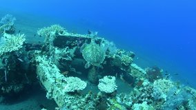 Hawksbill sea turtle is swimming inside an artificial reef. Underwater world of Bali, Indonesia.