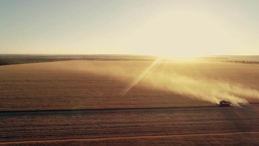 Combine wheat. Aerial landscape of agriculture. Harvesting wheat with combine. Combine at sunset in field. Harvesting in wheat field. Agriculture and healthy food concept. Sunset aerial landscape. Royalty-Free Stock Footage #1061002456