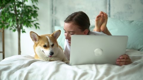 Young american woman is using laptop and lying with dog on bed at home bedroom. Front view of beautiful young woman hugging with her beloved pet and looking at computer screen with smile. One