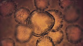 Microscopic animation of the covid-19 coronavirus. This is a realistic model of the virus. - Powered by Shutterstock - Get 15% off with code: PIKWIZARD15