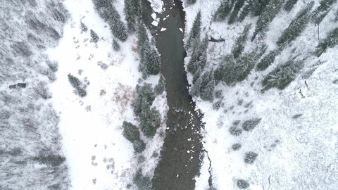 Winter forest and river from air. Aerial video of winter nature. 4k