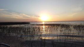 Florida Everglades At Sunset In Fast Moving Speedboat Over Water 002