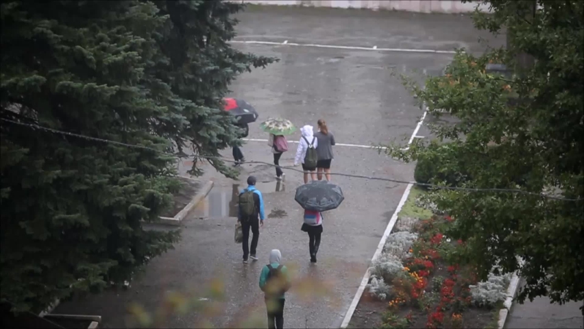 The kids are going to school. Autumn rainy weather.