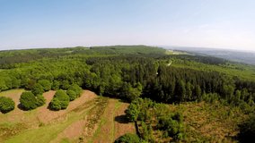 Panoramic drone flight over green woodlands in the summer season. 