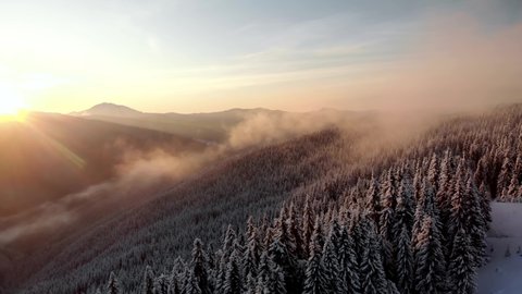Drone circle around snow covered frozen pine forest. Aerial orbit shot of golden hour sunset clouds in mountain valley