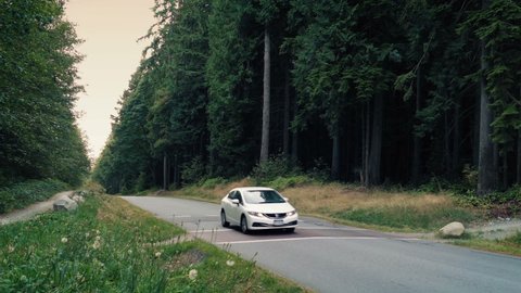 Car Passes On Forest Road In The Evening