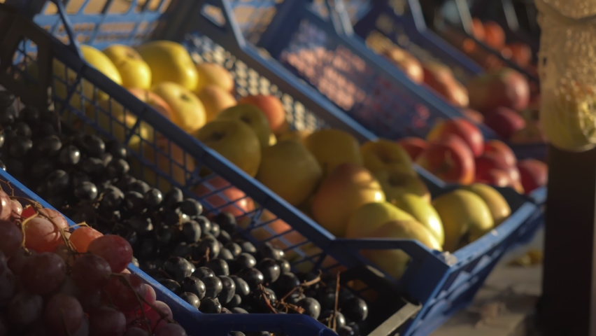 authentic farmer market scene - man buying fresh fruits using  grocery shopping bag. variety of fruits and vegetables, outdoor farmer