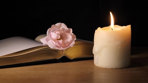 Extinguishing candle, book and pink rose on table isolated on black background. Funeral symbol