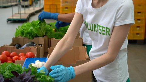 woman and man in volunteer t-shirt packing vegetables for donation charity for poor Spbas. Food parcels from factory. Delivery meals to seniors in need. social service