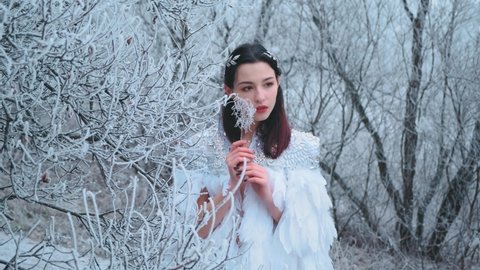 Sad young beautiful woman fairy holding freezing ice branch. Brunette girl enjoys silence winter frosty Christmas forest. Pretty face, snow Queen. White dress, natural bird feather cape. Silver tiara