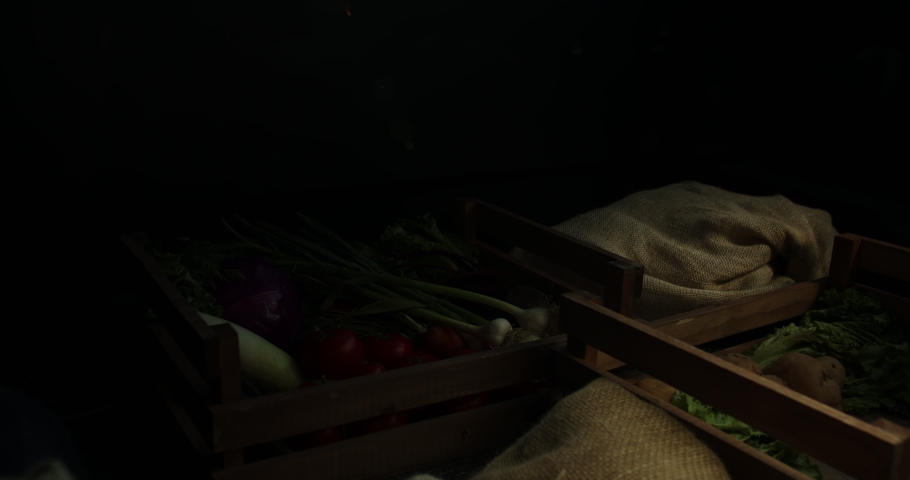 Worker on farm putting boxes with fresh vegetables in trunk of truck. Food supplier delivering fresh harvested crops to market - agriculture, logistics 4k footage Royalty-Free Stock Footage #1061129767