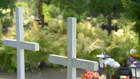 The white wooden cross signs on the cemetery with lots of green plants around