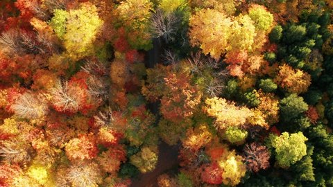 Aerial flythrough of Mountain Forests in Autumn with Fall Colors in Adirondacks, New York, New England