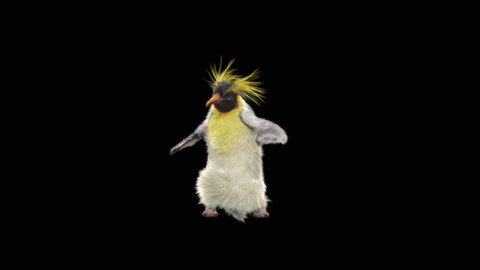 penguin Dancing CG fur 3d mapping, Included in the end of the clip with Luma matte.
