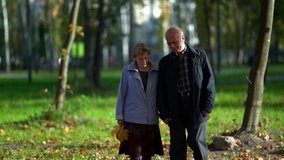 An elderly couple holding hands while walking together in an autumn Park in the afternoon. View of a romantic elderly couple relaxing in nature. Slow motion. - Powered by Shutterstock - Get 15% off with code: PIKWIZARD15