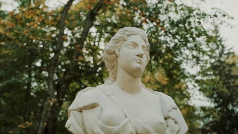 Closeup bust of Greek statue.