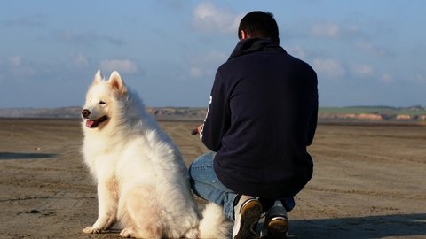 A man with a dog sits on the shore of the lake. A man is stroking a white fluffy dog Samoyed best friend.
