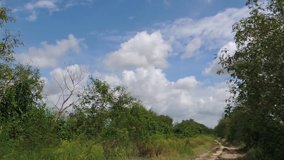 A short video of a country road in Thailand