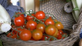 Close up bunch of small fresh tomatoes in the basket of the farm market. Video 4K