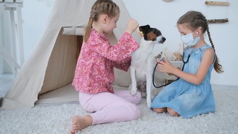Little girls playing with fox terrier dog, veterinarian doctor.