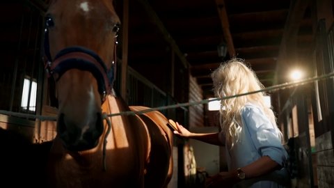 Attractive Slavic blonde cleans the horse's back. A brush for wool in the girl's hand, the process of caring for a horse. slow motion