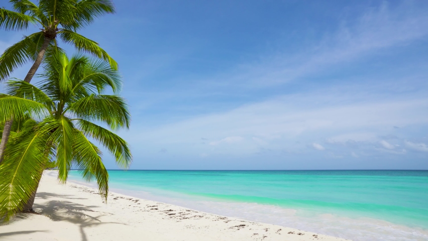 Caribbean beach background. Sunny tropical beach. Hot afternoon on an empty beach. The best beaches in the world. Dominican Republic beaches. | Shutterstock HD Video #1061172265