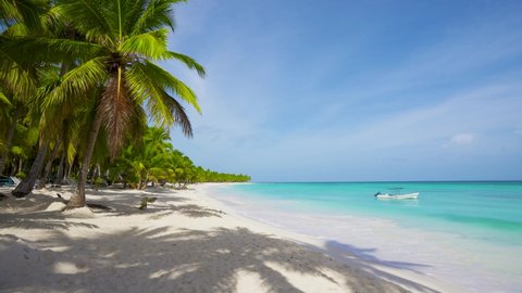 Travel to a tropical paradise. Paradise beach with palm trees and clear blue sea and white sand without people. Hot vacation on an island in the Atlantic Ocean. Dominican Republic Punta Cana.