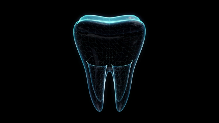 Tooth, animation of rotating. Dental, medicine and health concept. Polygon mesh of model. Looping motion animated virtual space. | Shutterstock HD Video #1061186287